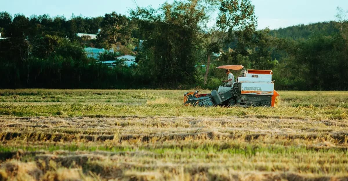 Les outils de ferme à connaître pour améliorer votre rendement
