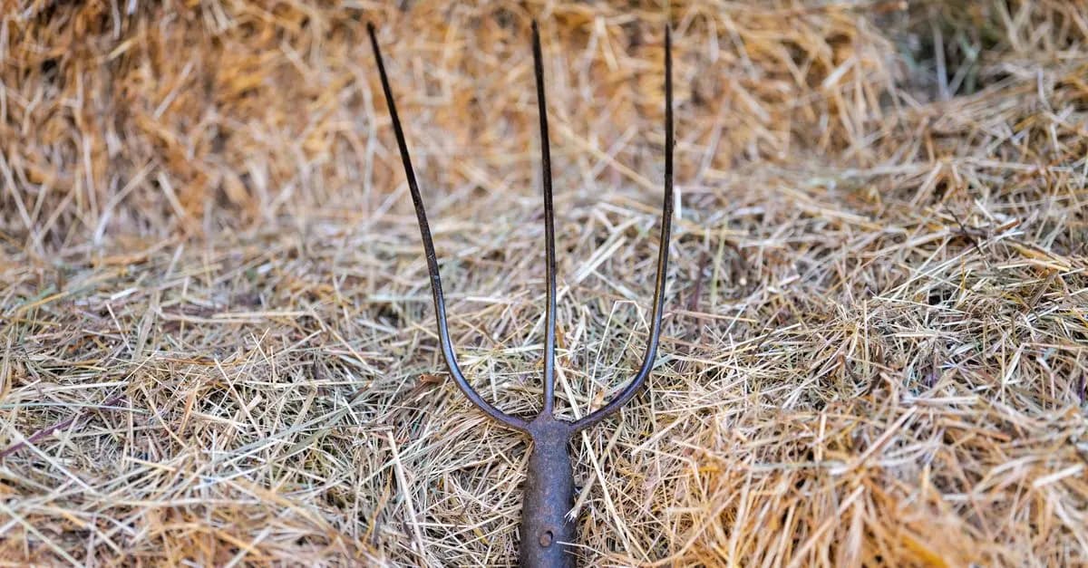 Les 10 outils de ferme incontournables pour chaque agriculteur