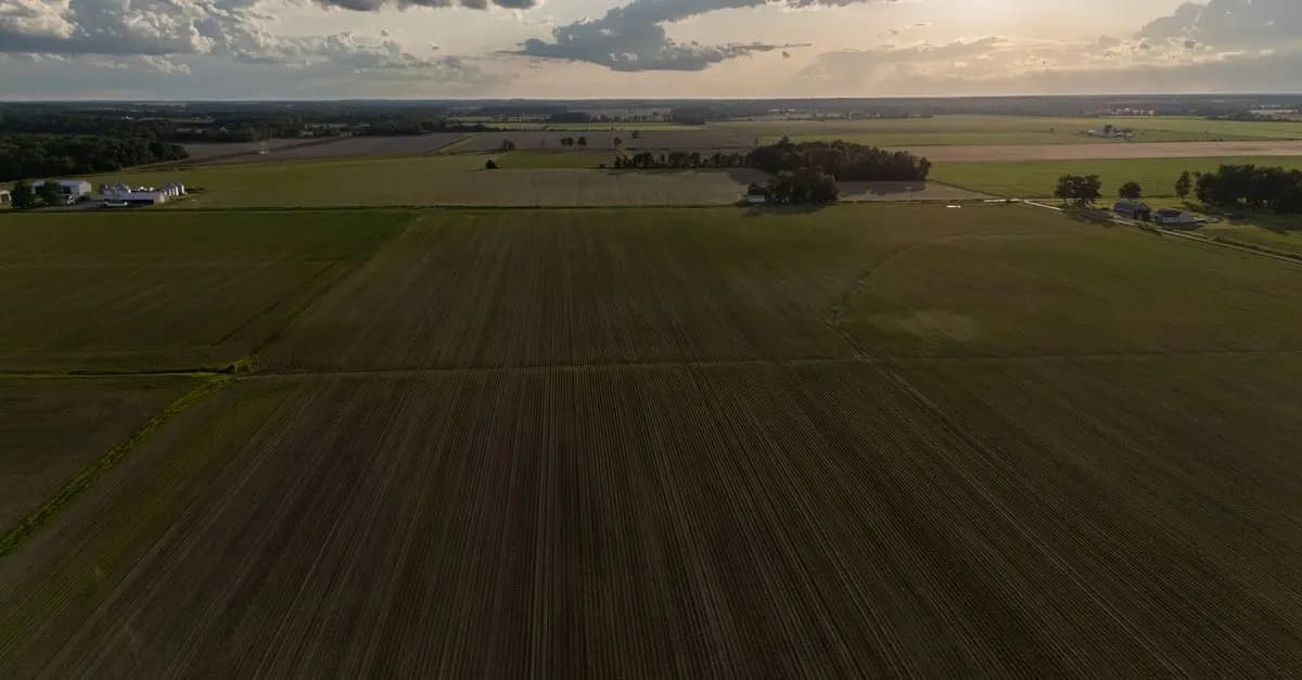 Les meilleures pratiques pour l'entretien des sols agricoles