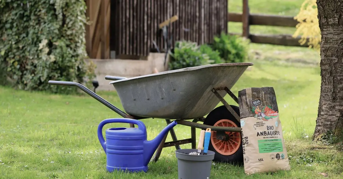 Les outils de jardinage à avoir pour une ferme productive