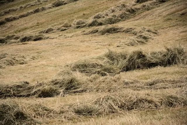 Guide des outils de ferme indispensables pour chaque saison