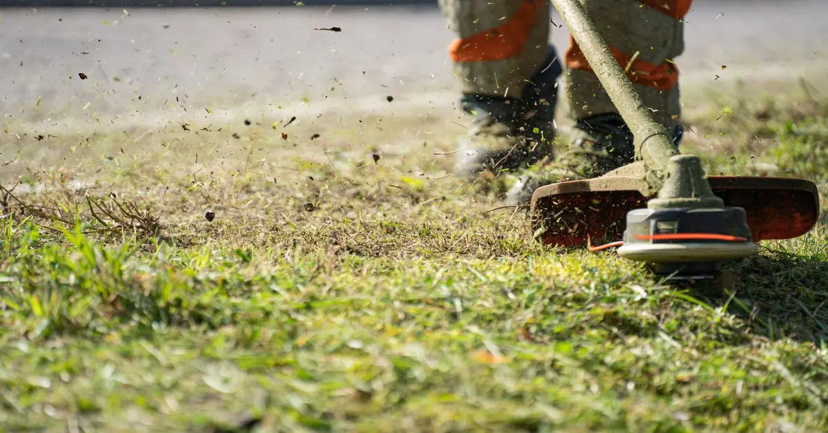 Guide pratique pour entretenir vos outils de jardinage