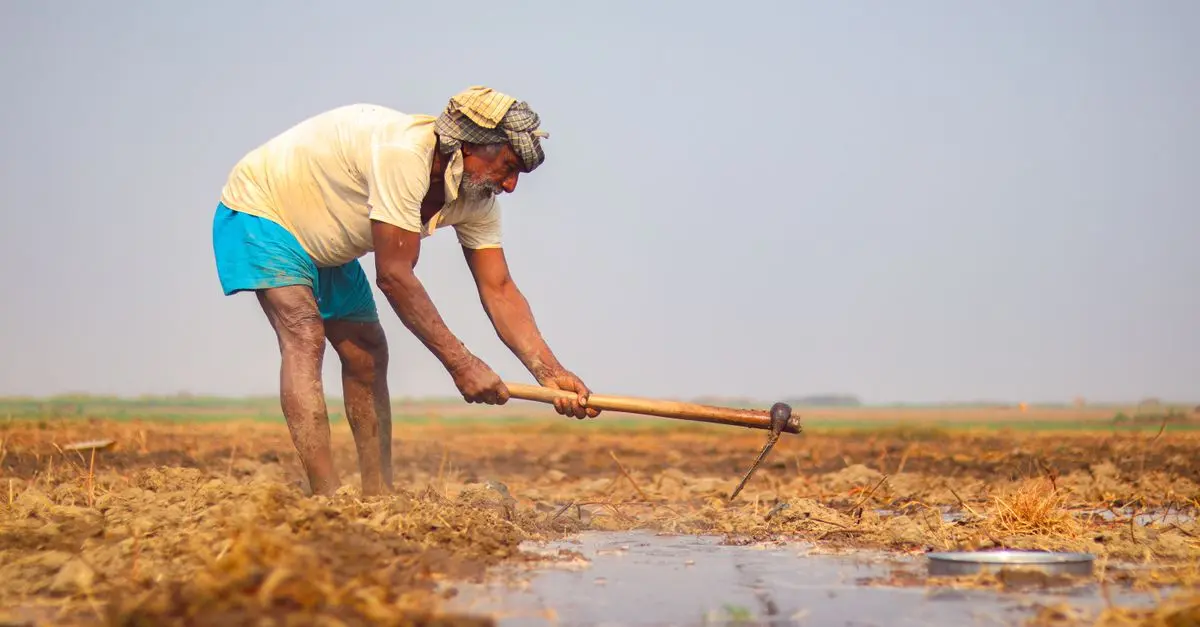 Comment bien entretenir vos outils de ferme pour une durabilité optimale