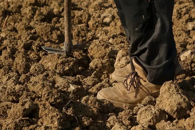 Guide pratique pour choisir des outils de ferme adaptés