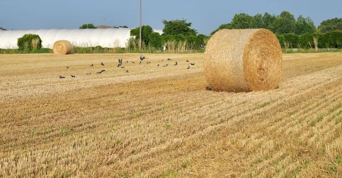 Les critères pour choisir vos outils de ferme