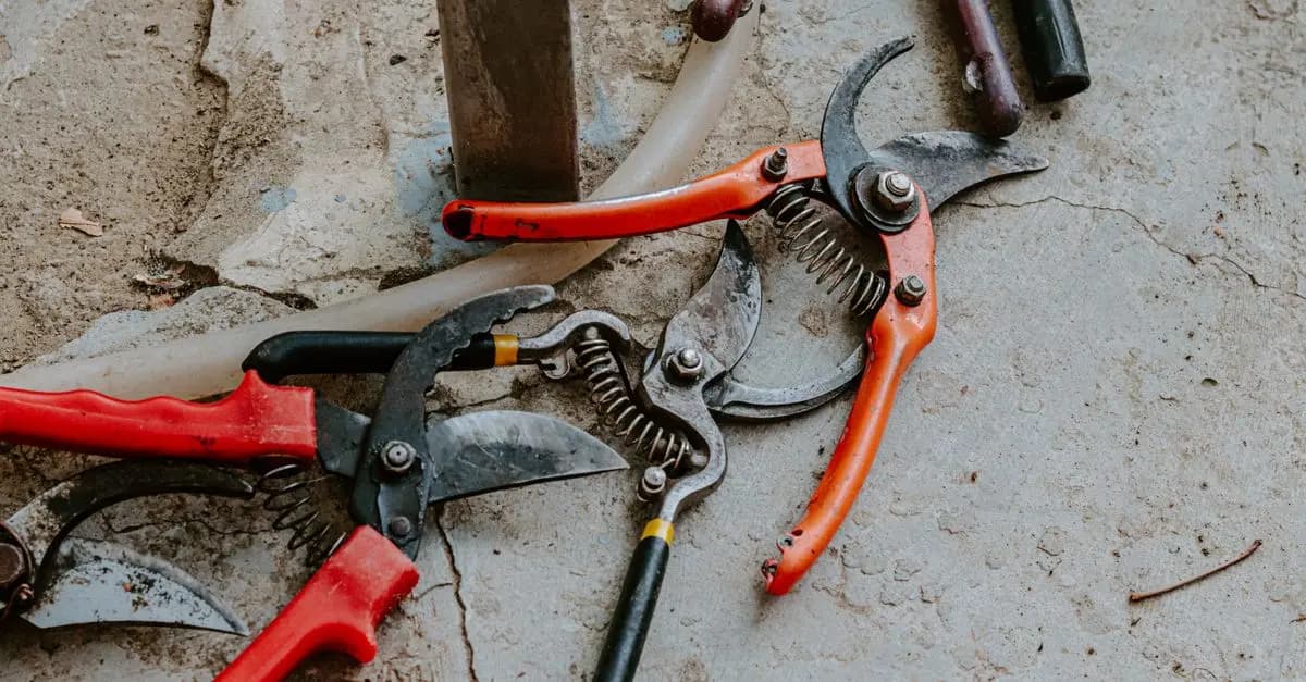 Les outils de nettoyage incontournables pour votre ferme