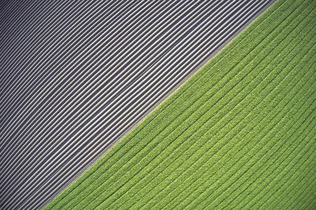 Les outils de ferme pour une agriculture durable et moderne