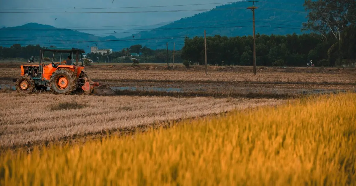 Les outils de discage : Comment bien les choisir pour votre ferme