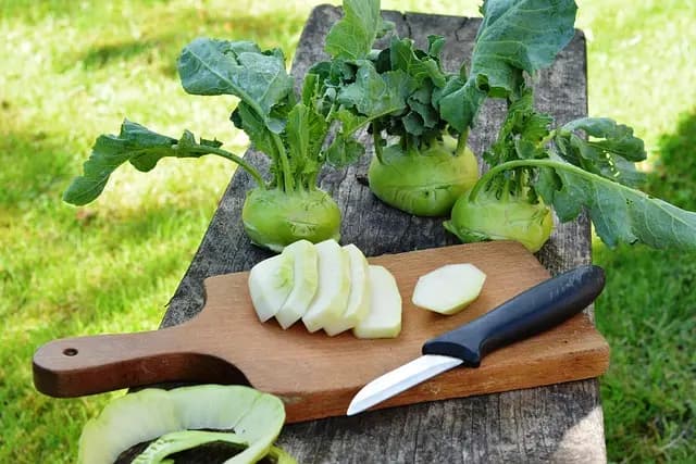 Comment choisir des outils de ferme pour un jardin potager réussi