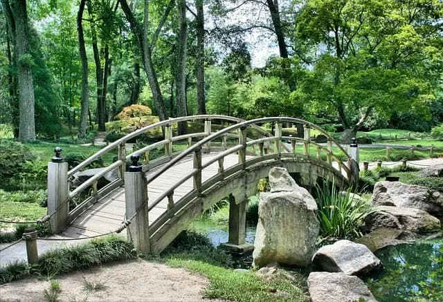 Les outils de ferme indispensables pour un jardinage réussi