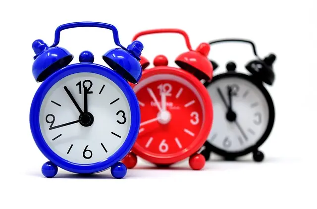 Les outils de désherbage : Guide complet pour choisir efficacement