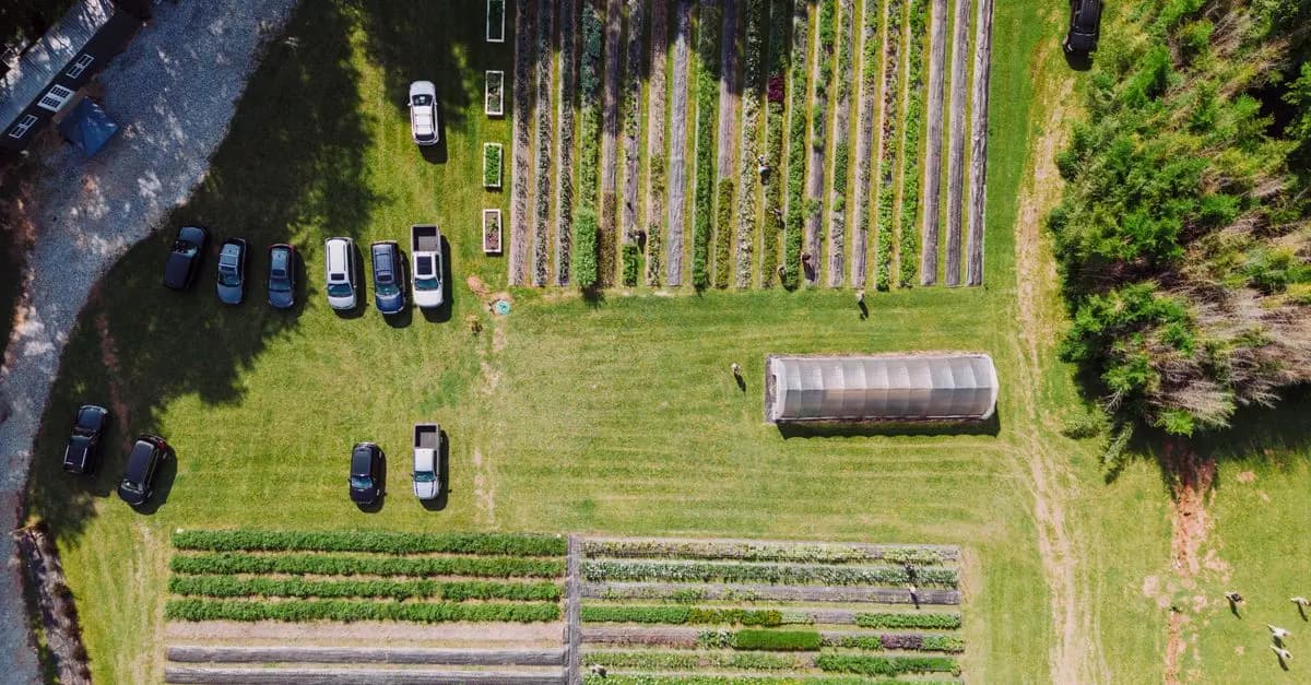 Comment bien choisir vos outils de jardinage pour la ferme