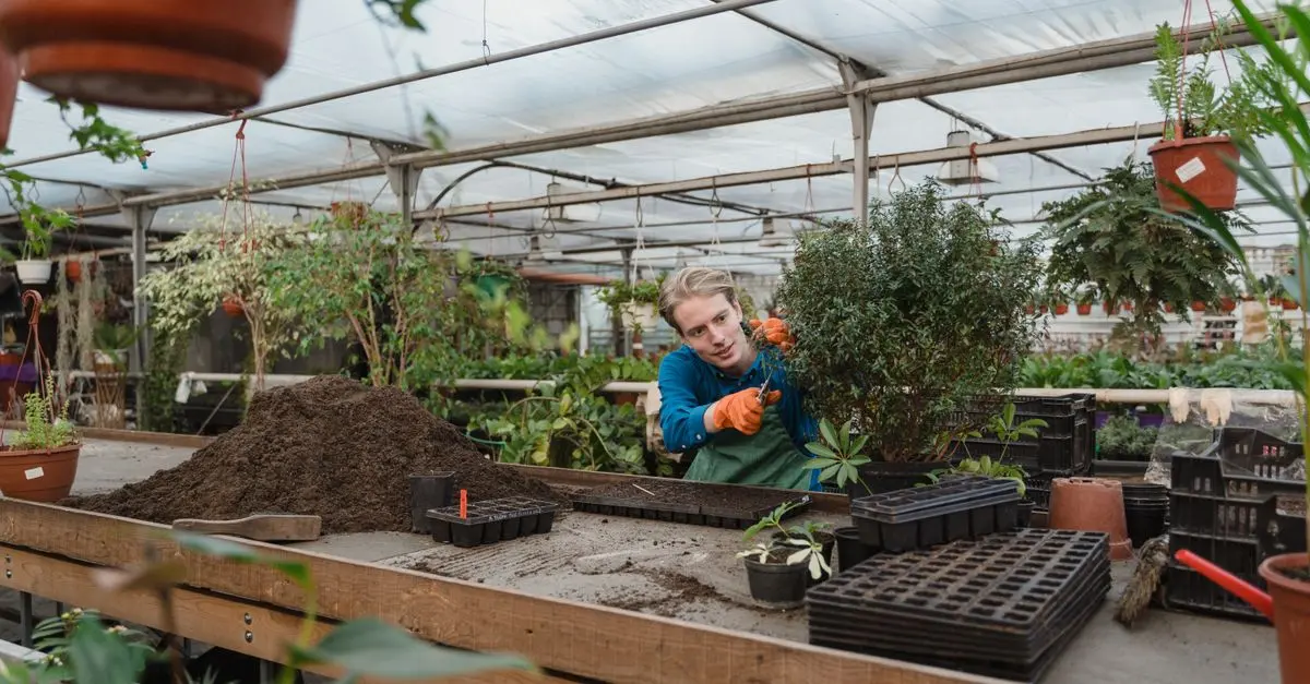 Les outils de ferme pour un jardinage écologique efficace