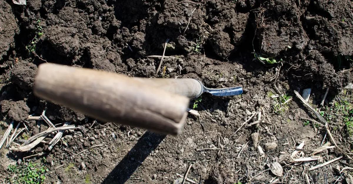Les outils de ferme pour une culture durable