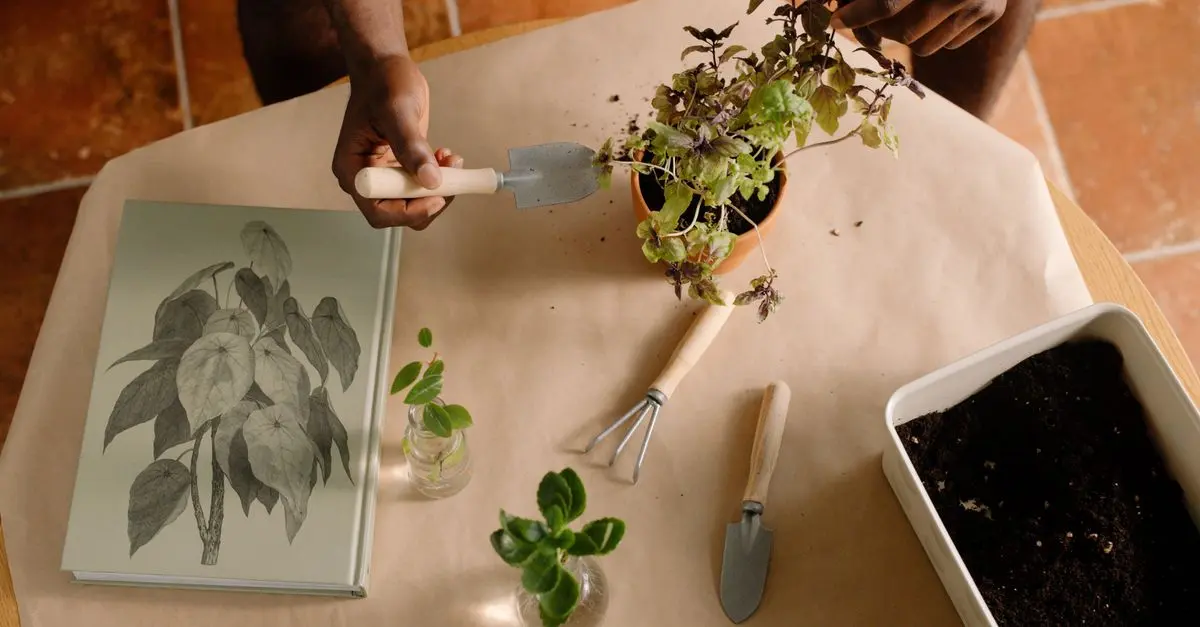 Comment sélectionner les outils de jardinage adaptés à votre ferme