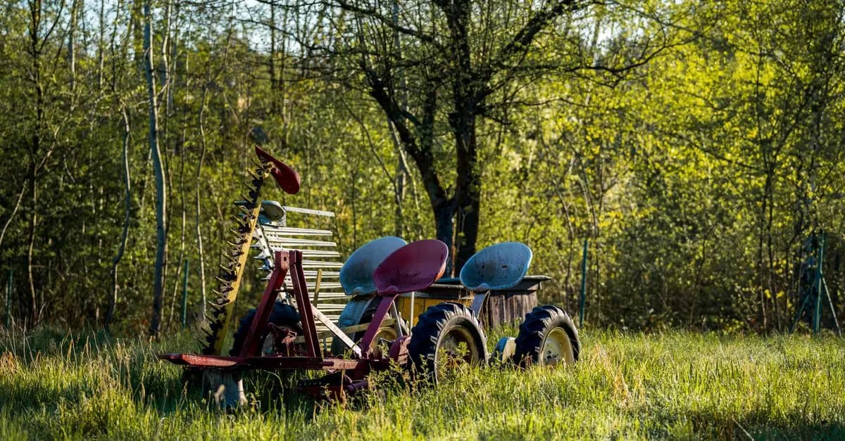 Les innovations en matière de récolte mécanique