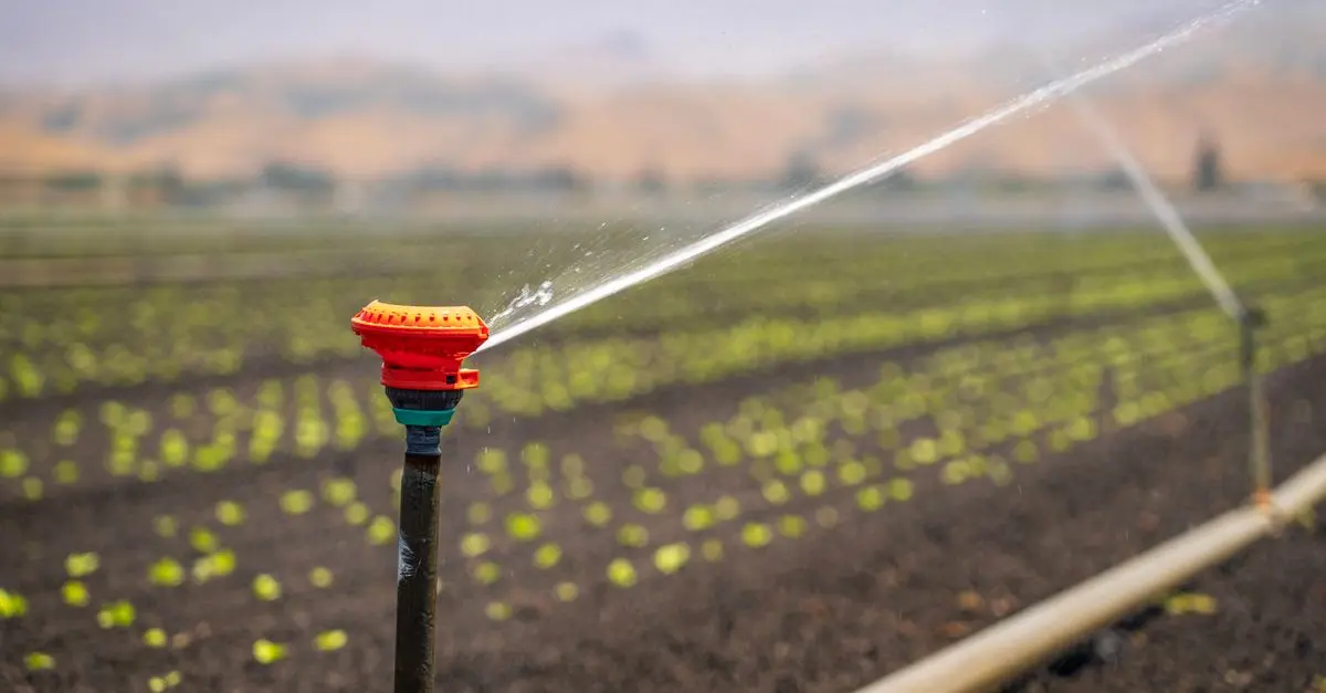 Guide pour installer un système d'irrigation solaire