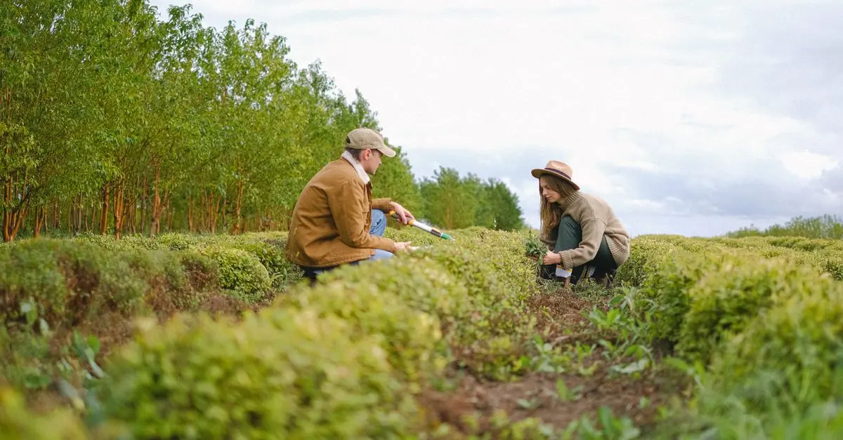 Comment choisir les outils de ferme pour chaque culture