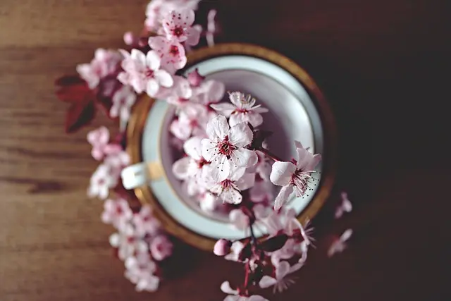 Guide complet des outils de ferme pour chaque saison