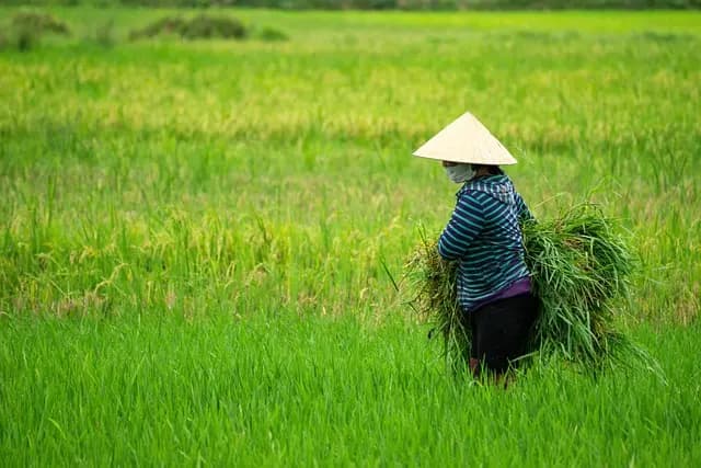 Comment bien choisir ses outils de ferme pour chaque tâche