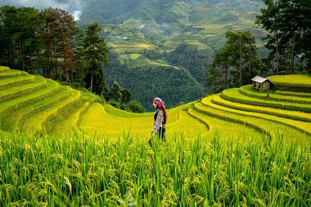 Comment choisir les outils de ferme adaptés à votre exploitation