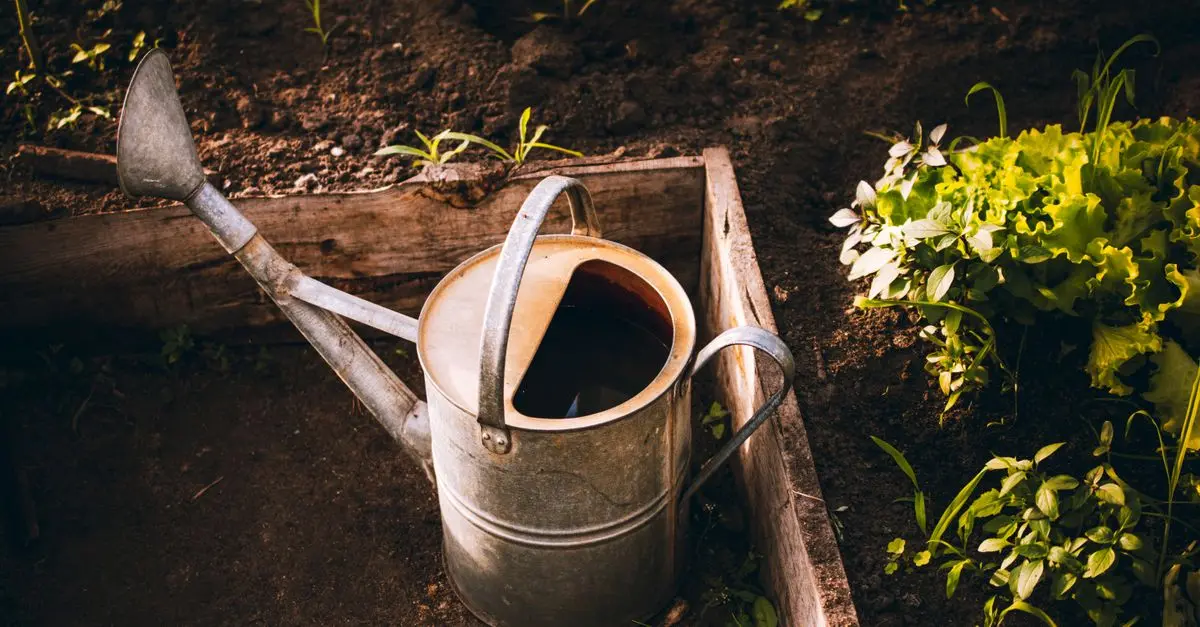 Comment choisir des outils de ferme pour un jardin potager réussi