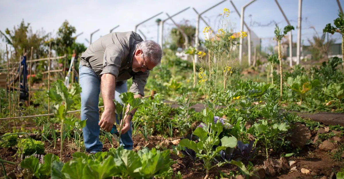 Top 5 des outils pour la culture bio