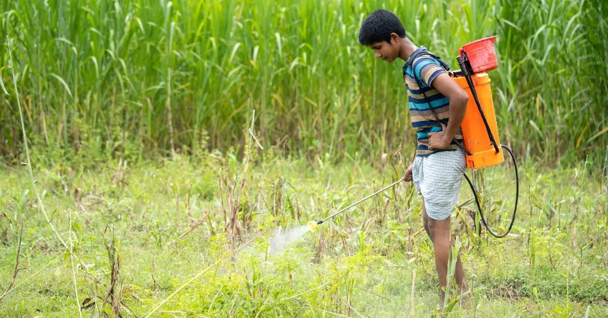Les pulvérisateurs électriques pour l'agriculture moderne