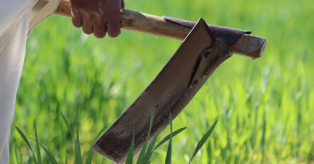 Les outils de ferme pour une agriculture durable