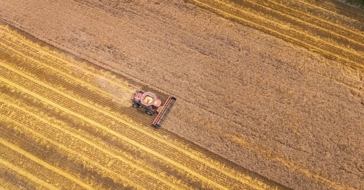 Comment choisir des outils de ferme adaptés à votre exploitation