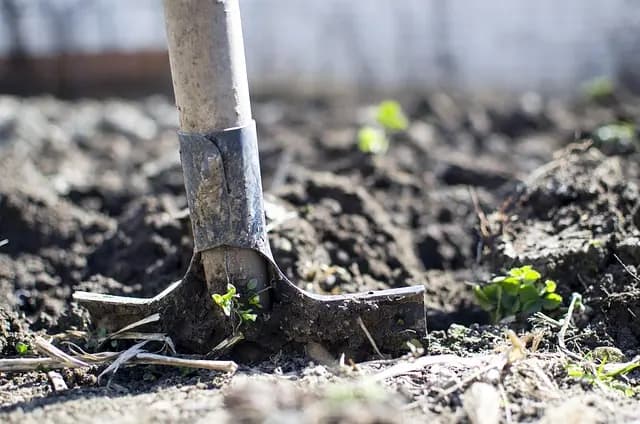 Comment choisir les outils de ferme pour une agriculture efficace