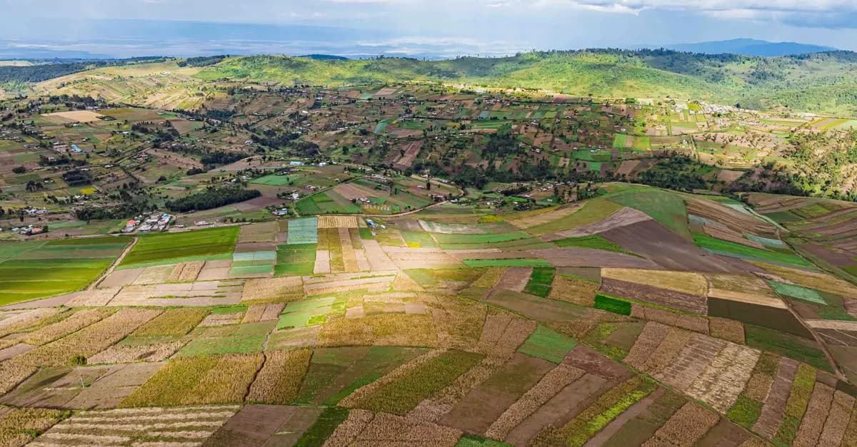 Comment bien choisir vos outils de ferme pour chaque culture