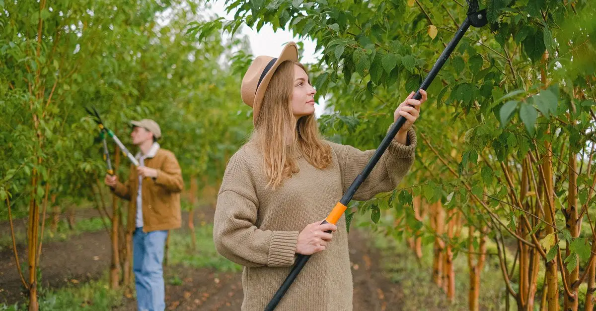 Les outils de ferme indispensables pour un jardinage réussi