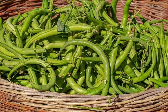 Les outils de ferme pour cultiver efficacement vos légumes