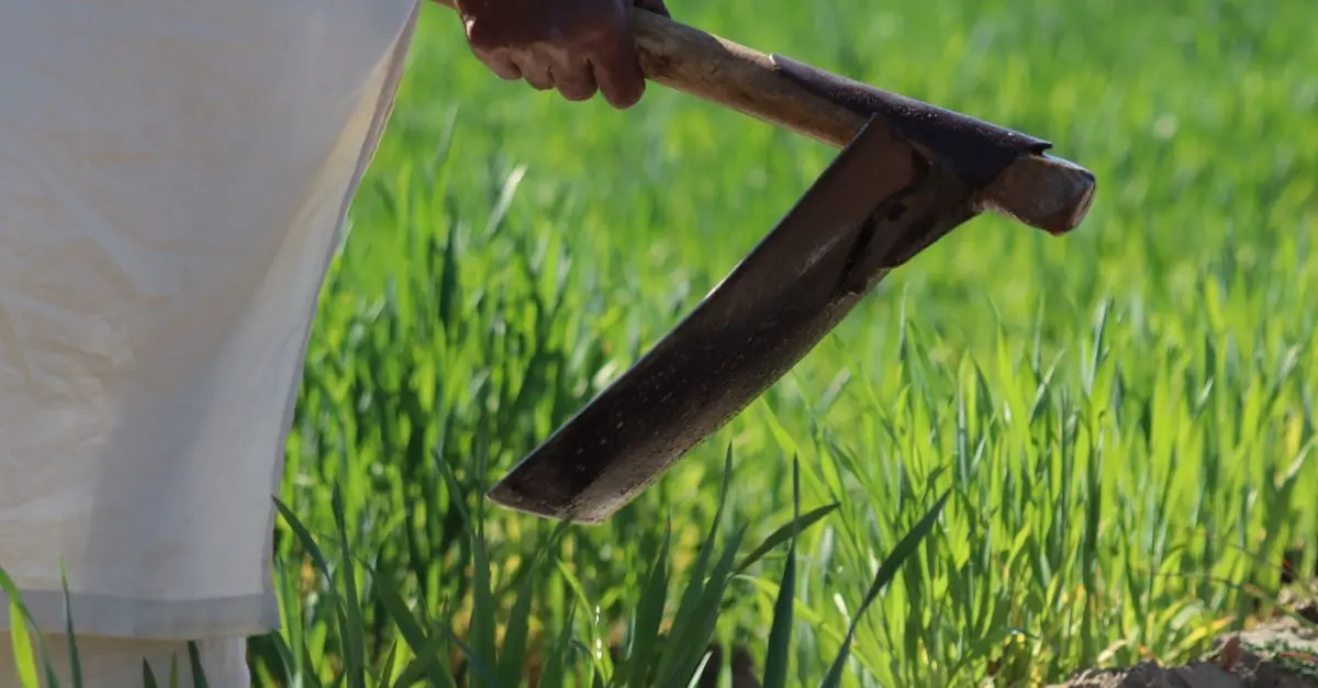 Comment choisir les outils de ferme pour une agriculture durable