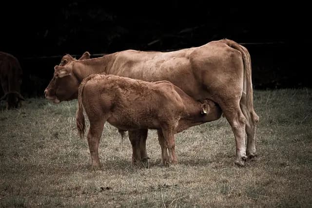 Les outils de ferme pour l'agriculture de précision
