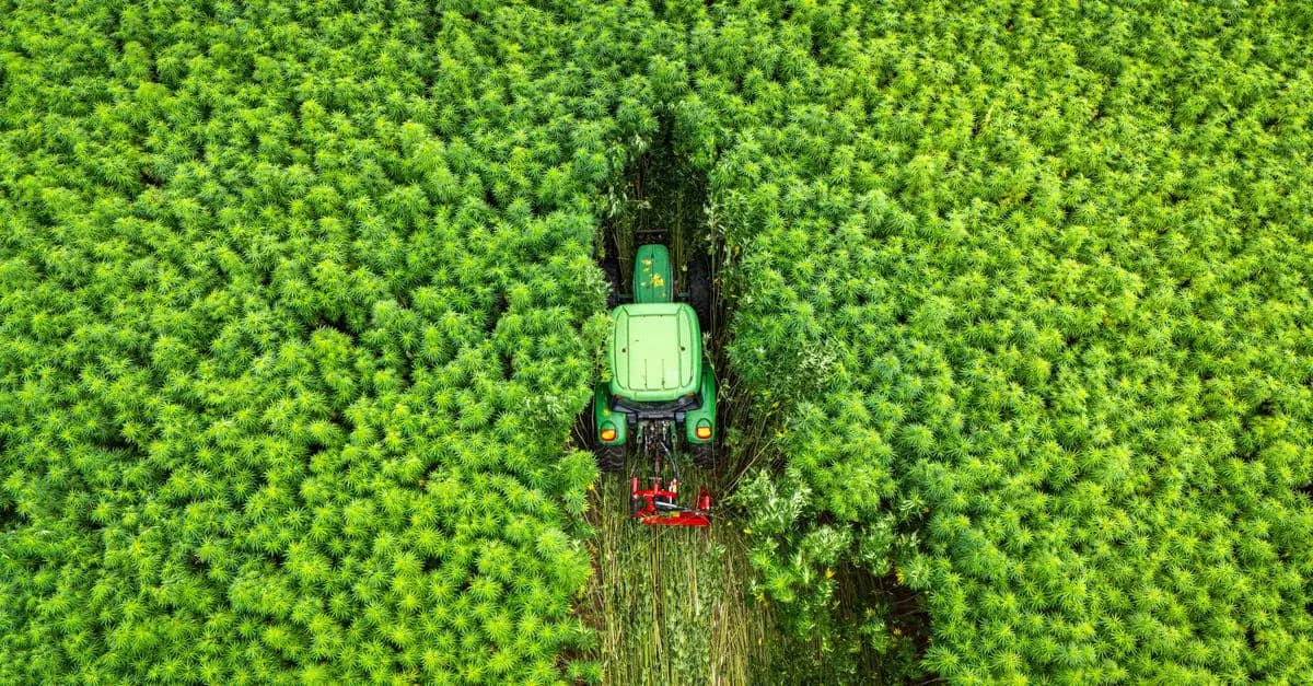 Comparatif : Tracteur vs Motoculteur