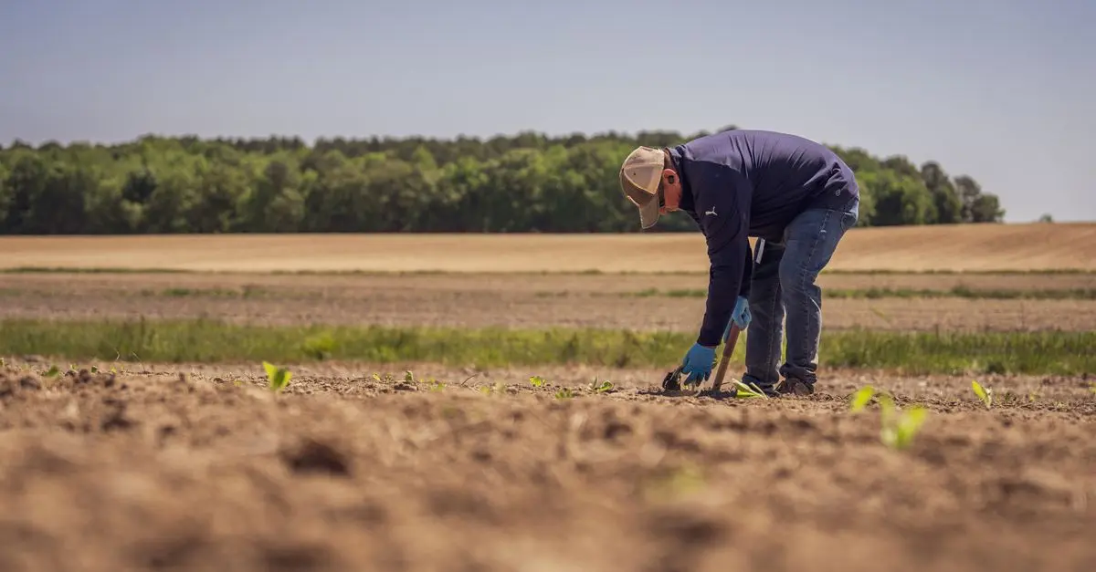 Les différents types d'outils de ferme et leur utilisation