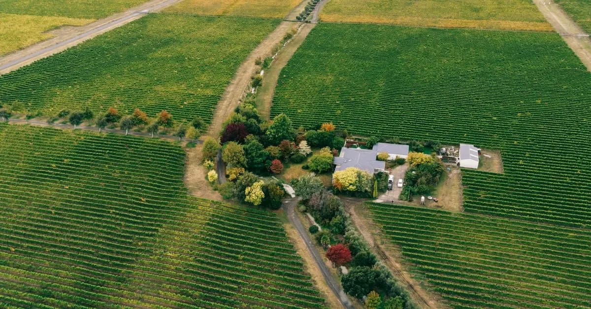 Comment choisir des outils de ferme adaptés à chaque saison