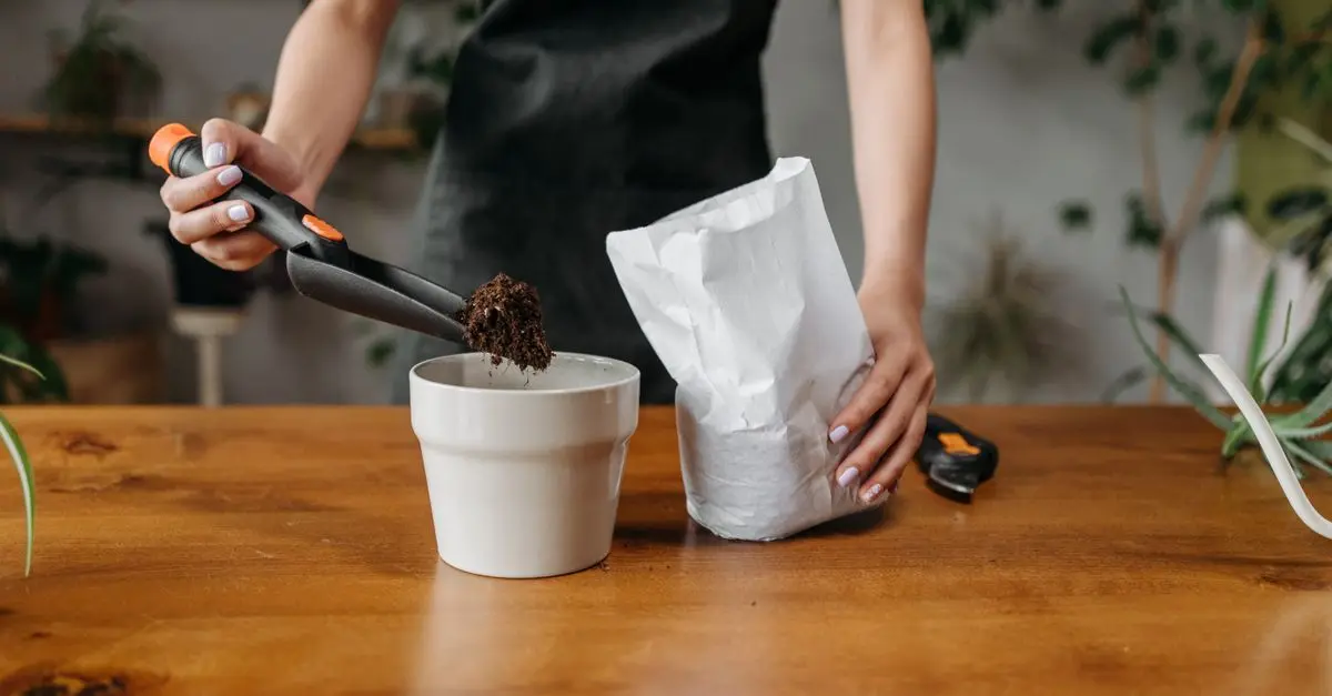 Comment bien choisir vos outils de ferme pour chaque culture