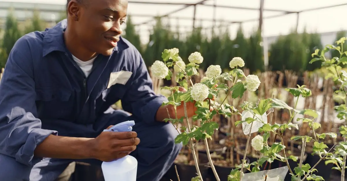 Les meilleurs pulvérisateurs à dos pour votre jardin