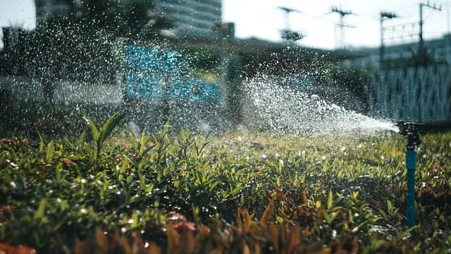 Comment maximiser l'efficacité de votre système d'irrigation