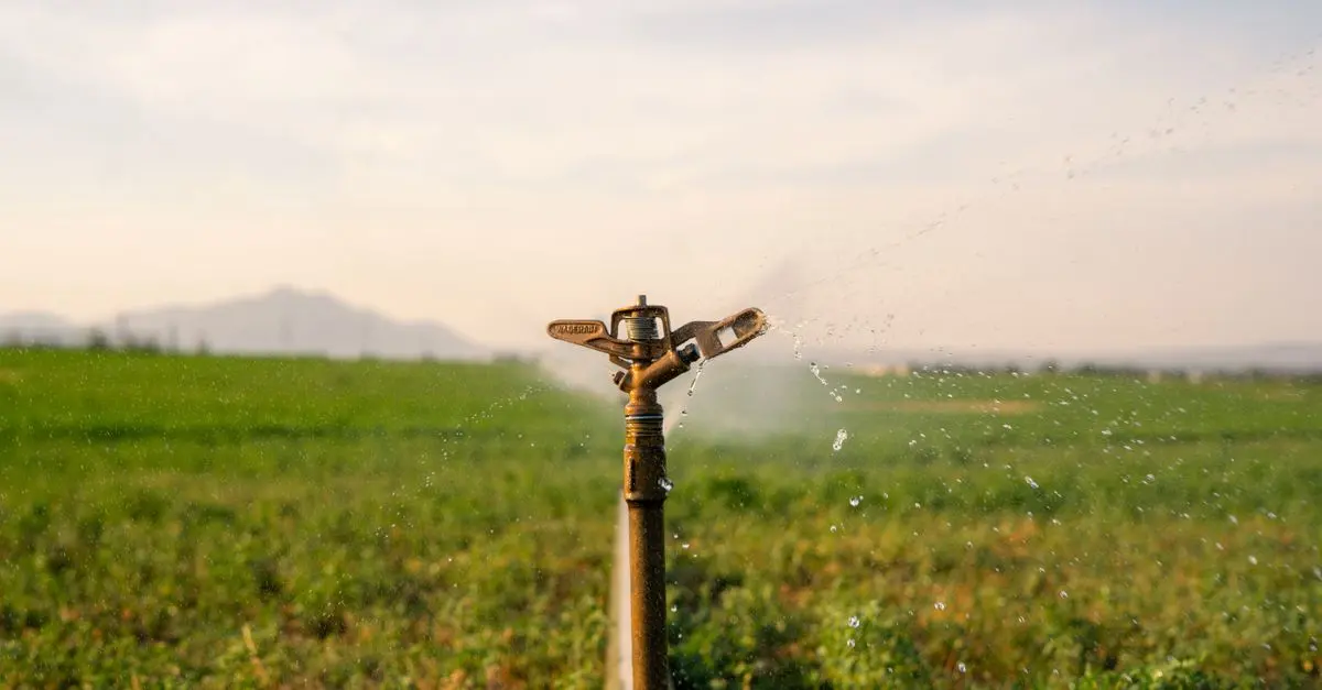 Les tendances des techniques d'irrigation en 2026