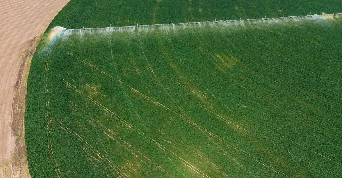 Les meilleurs outils de ferme pour une agriculture durable