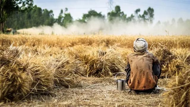 Les meilleurs outils de ferme pour une culture bio efficace