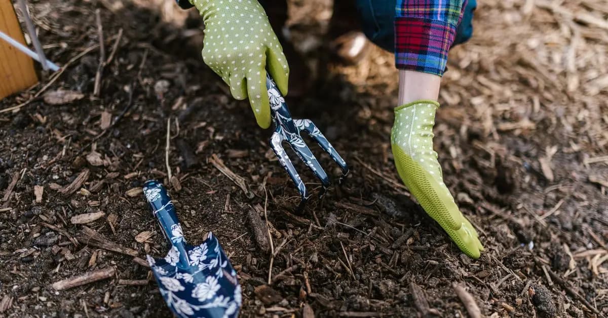 Les outils indispensables pour la culture de légumes