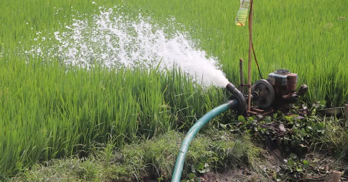 Comment choisir une pompe d'irrigation adaptée