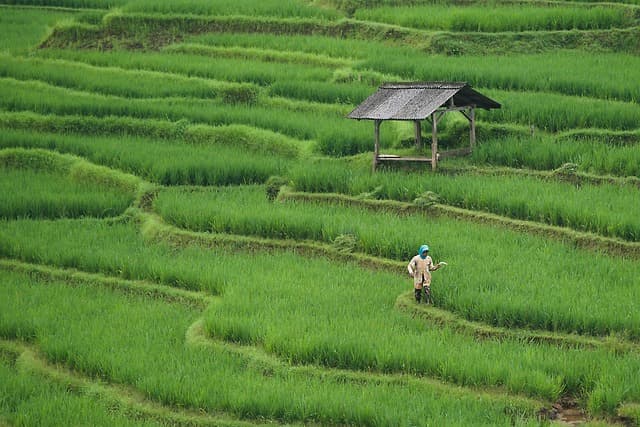 Les outils de ferme à adopter pour une agriculture durable