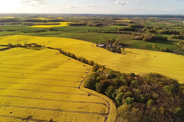 Les outils de culture pour l'agriculture durable et efficace