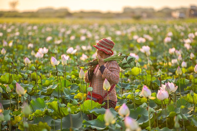 Les outils de coupe pour les fermes : Comment bien les choisir ?